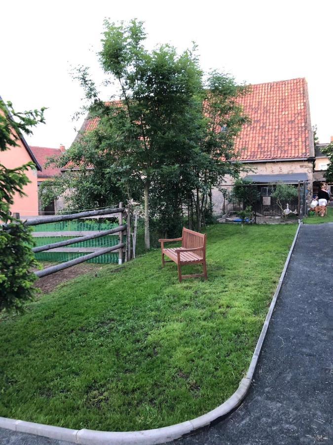 Ferienwohnung Gans Auguste Dohna Exteriér fotografie