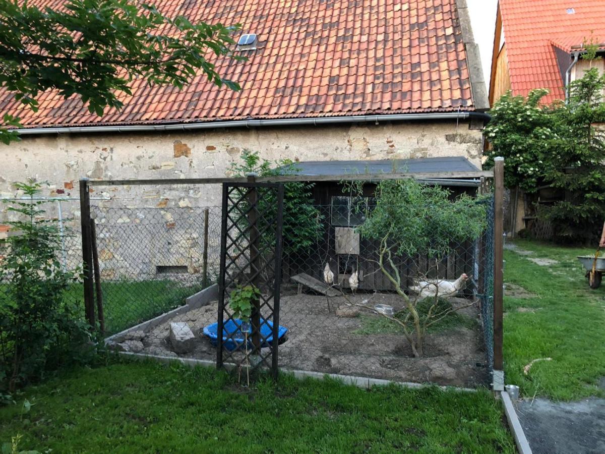 Ferienwohnung Gans Auguste Dohna Exteriér fotografie